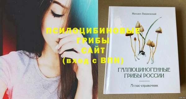 гидропоника Алексеевка