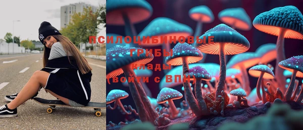 молекула духа Алексин