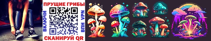 Галлюциногенные грибы Psilocybine cubensis  OMG как зайти  Амурск  купить наркоту 